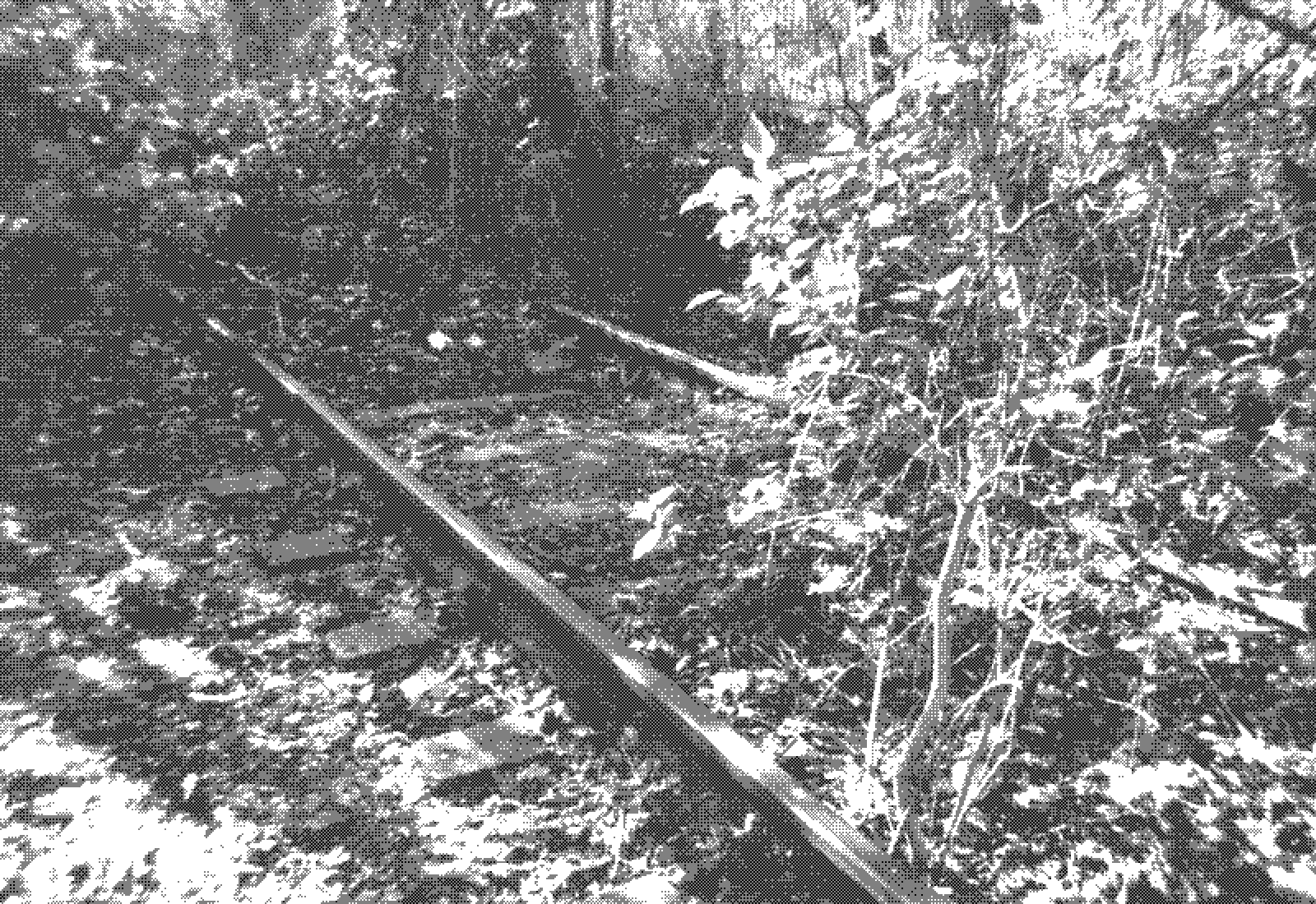 Part of the old Industriebahn track